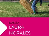 Muestra de Danza