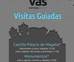 Visitas guiadas Castillo Palacio Magalia - Noviembre